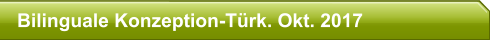 Bilinguale Konzeption-Türk. Okt. 2017